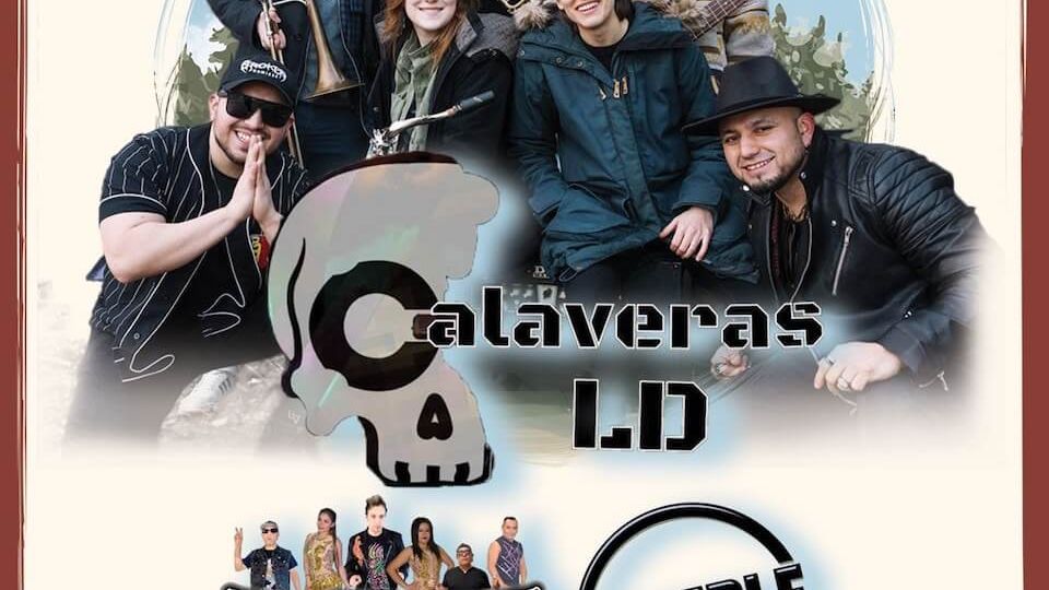 f5a1c647-3eaa-4330-8c28-0ad4501c96e4-2