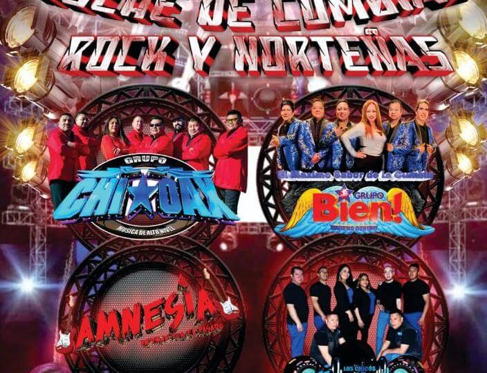 IMG-20230717-WA0008(1)-2